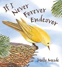 Book Review Writing Examples If i never forever endeavor review by hayden, age 4.