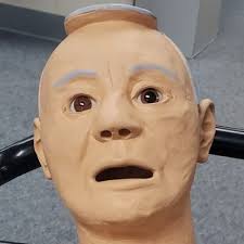 Lacey Cheeseman (@Lace4Cy)