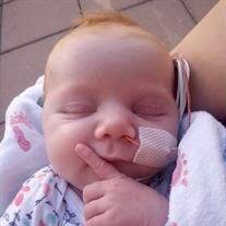 Joslyn Genevieve Syring Obituary