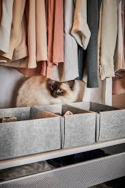 Komplement Box Light Gray 5 7 8x10 3 8x4 3 4 Ikea In 2020 Ikea Light Grey Clothes Organization