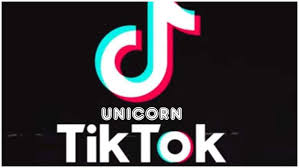 Download Tiktok Unicorn Apk For Android Droidvendor