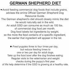 Bethebest3 German Shepherd Diet Diet And Useful Summary