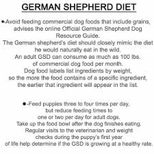 bethebest3 german shepherd diet diet and useful summary