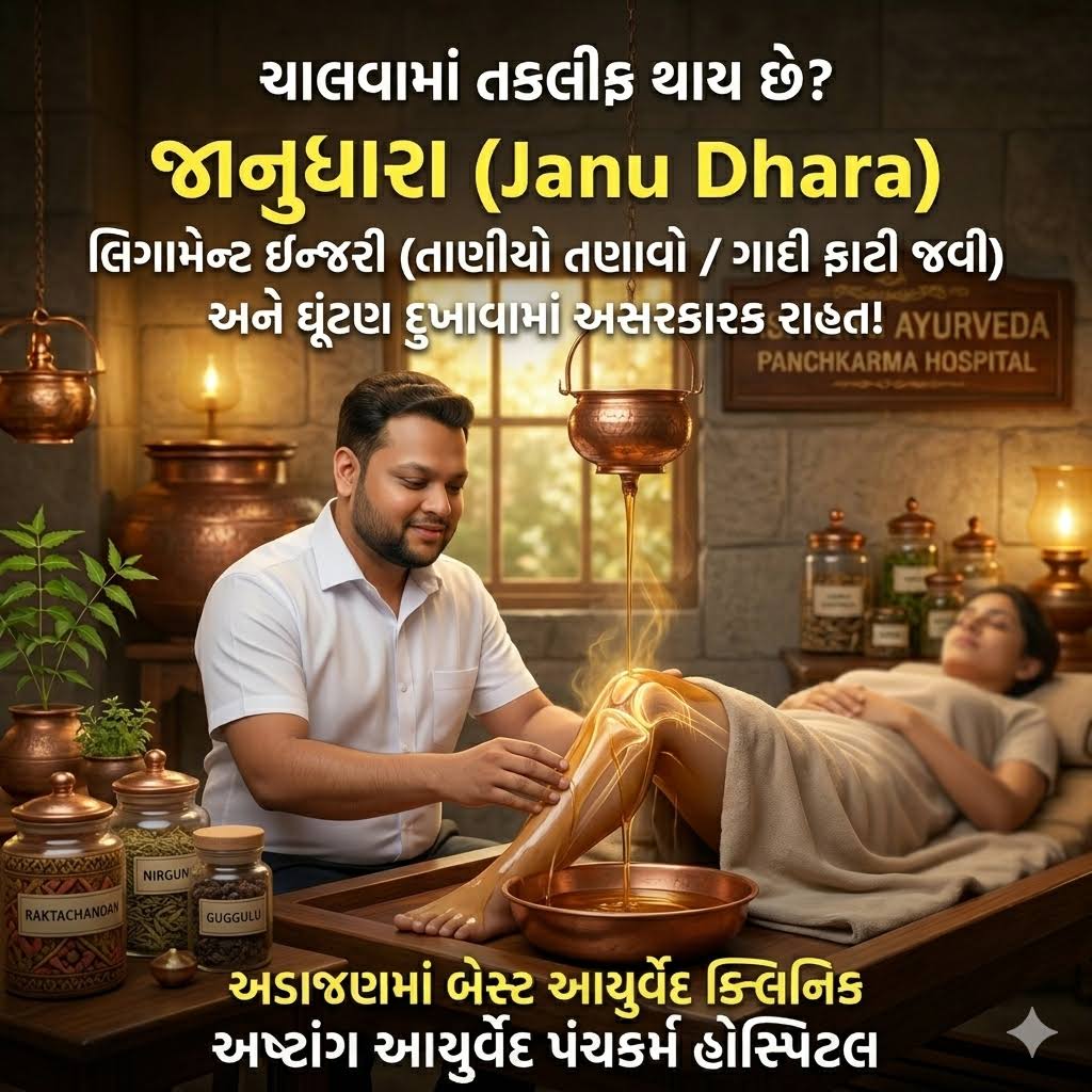 Janu dhara (જાનુધારા) product image