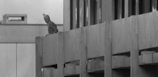 Coming just 27 years after the end of. Possible Terror Attack In Munich Has Many Recalling 1972 Summer Games Abc News