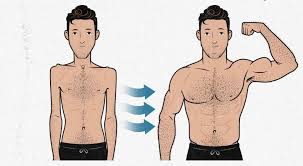If this sounds like you, it's time to change what you really need is some essential muscle building get stacked. Should Ectomorphs Do Cardio While Bulking Bony To Beastly