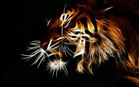 We've gathered more than 5 million images uploaded by our users and sorted them by the most popular ones. Neon Animals Wallpapers Wallpaper Cave