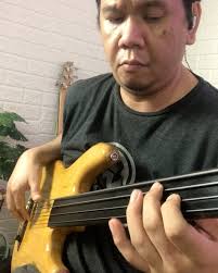 Dulu pertama belajar Bass pake Bass Fretless Hofner. Terus pengen punya  Bass Fretted. Sekarang pegang Fretless jadi demen lagi. , Yang demen Bass  Fretless kaya gini (di slap juga enak lho) dengan ...