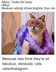 Himalayan salt sold online and in food stores is a different story, however. Meme Creation Cat Lamp Meme