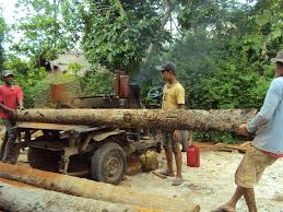 Image result for gergaji mesin