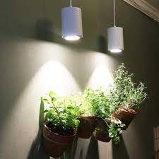By it's exciting lighting (4) $ 74 99. Diy Attractive Houseplant Light Ideas