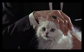 Pets cats pet cat blofeld james bond 007 mail meow royal mail. Alessandro Tanasi On Twitter Spectre Cats Ernst Stavro Blofeld S Http T Co Wqehojhoou White Persian Pet Http T Co Jzjogrxgwk