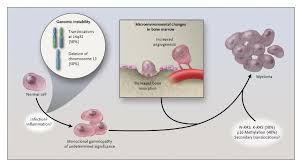 Healthy plasma cells help you fight infections by making antibodies that recognize and attack germs. Multiple Myeloma Nejm