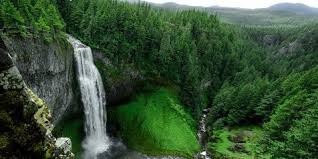 Koleksi gambar dibawah ini bisa kamu download. 58 Kata Kata Tentang Air Terjun Indah Dan Menyejukkan Tunjukkan Pesona Alam Menenangkan Kapanlagi Com