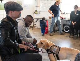 Wounded Vet Nonprofit And Puppies Help Actors Create Authentic Characters For New Nbc Show Puppy Help Vets Service Dogs