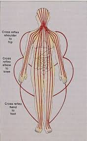 Towards Better Health With Reflexology