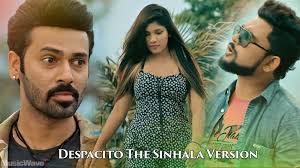 Don't want to let my heart decide. Download Sinhala Music Videos Sinhala Video Songs For Pc And Mobile Freemusic Lk