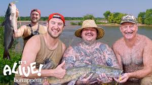 November 22, 2017 · · Watch Brad And Matty Matheson Go Noodling For Catfish Part 1 It S Alive Bon Appetit