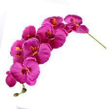 2021 Artificial Butterfly Orchid Silk Flower New Orchid Artificial Flowers Diy Bouquet Phalaenopsis Wedding Home Decoration From Bigdeal1 1 61 Dhgate Com Silk Flower Wedding Bouquet Artificial Flower Bouquet Silk Flower Bouquets