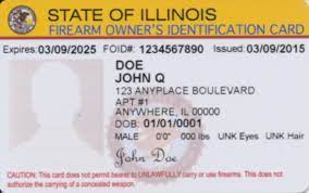 The illinois supreme court confirmed this in a 2011 ruling (people v. Some Want To Abolish Illinois Delay Plagued Gun License Law Others Want To Modernize It The Vedette