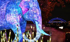 Art Installation Lights Up Sydney S Zoo In Pictures Installation Art Asian Elephant Zoo