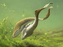 Erster Sex vor 380 Millionen Jahren Fische Fischfossilien John Long