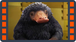 смотреть фильм фантастические твари и где они обитают иви Nyuhl Vorishka Fantasticheskie Tvari I Gde Oni Obitayut 2016 Scena 1 7 Hd Youtube