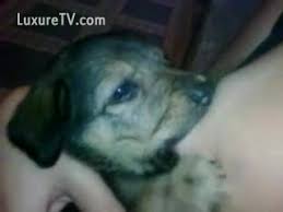 Check spelling or type a new query. Gostosa Coloca Cachorro Filhote Mamar No Bicos Dos Seus Seios Pornozinhos Videos De Incesto Zoofilia Videos De Zoofilia