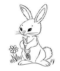 Teach your kids about carrots and the color of carrots with our coloring pages. Carrot Coloring Pages Bunny Coloring Pages Easter Bunny Colouring Easter Coloring Pages