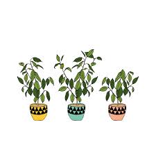 Explore tumblr posts and blogs tagged as #house plants with no restrictions, modern design and the best experience | tumgir. Plant Tumblr Wallpapers Wallpaper Cave