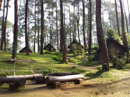 Sehingga jika anda menggunakan jasa. Nyantai Sejenak Di Taman Wisata Grafika Cikole Lembang Bandung Firsty Chrysant