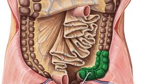 Find out more from webmd about causes, diagnosis, and treatment of spn. Arhive Pret Operatie Cancer Colon Dr Gabriel Matei