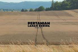 Pertanian Lahan Kering Pengertian Ciri Contoh Dan Cara Pemanfaatannya Petani Digital