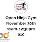 Thanksgiving Weekend Open Ninja Gym event image