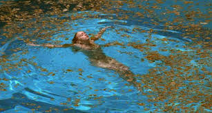 Studiously Uncool Neo Noir Thursday Swimming Pool