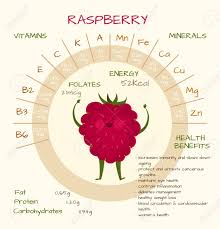 Over 100,000 english translations of french words and phrases. Infographique Mignon Des Bienfaits Pour La Sante De Framboise Mode De Vie Sain Un Regime Amaigrissant Et Le Concept De Nutrition Les Vitamines Contenues Dans La Groseille Clip Art Libres De Droits