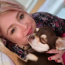 Adoptable dog with fluffy coat and playful personality