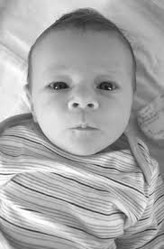 GTO (Gwen, Todd, & Olin)