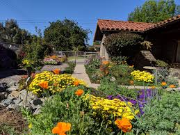 We have 2584 homeowner reviews of top san diego landscaping companies. Escondido 2019 Watersmart Landscape Contest