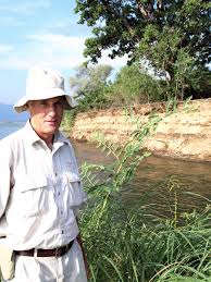 Image result for Aeschynomene elaphroxylon