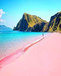 Pink Beach Komodo National Park Flores Island Indonesia Cool Places To Visit Komodo Island Pink Beach