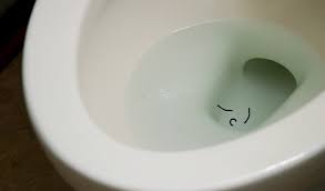 Horsehair worms typically reach our toilets while they are still eggs. Worms In Toilet Here S What S Going On