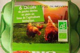 Ce sont en effet des cailles qui pondent. L Absurdite Des Elevages Plein Air Des Espaces Vides Et Des Poules Agglutinees