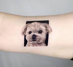 Morkies morkie puppies and the morkie from morkie puppies to. Pin By Michelle Kallman On Tatueringar Dog Tattoos Art Tattoo Animal Tattoo