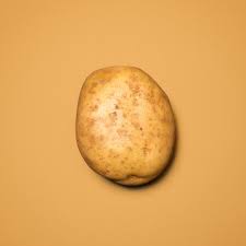 Saatkartoffeln werden meist schon im winter gekauft und dann vorgekeimt, bei den meisten sorten ab anfang/mitte märz Kartoffeln Mutter Erde
