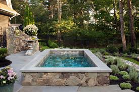 Luxury Plunge Pool In 2020 Small Pools Small Backyard Pools Luxury Landscaping