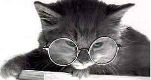 Porniți robotul și amestecați până obțineți o pastă. Cel Mai Bun Angrosist GamÄƒ LargÄƒ Furnizor Oficial Poze Cu Pisici Cu Ochelari Hcjv Ro