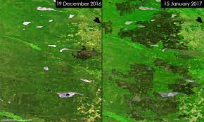 Compared to north american ranchers, commercial ranchers in the pampas of argentina, uruguay, and southern brazil are more likely to. Wildfires Across The Pampas Argentina Featured Image Earth Online Esa