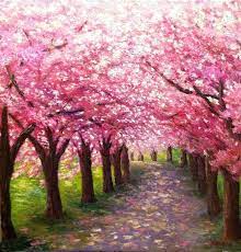 I heard about the cherry trees before arriving in germany and was told that there is only a couple of weeks where they look beautiful and are blooming. Cherry Blossom Path Original Oil Painting By Misunartstudio 275 00 Pintura De Tela Facil Arte De Arvore Pintura Em Tela