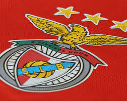 Benfica is the most supported portuguese club and the european club with the highest percentage of supporters in its own country, having over 230,000 members and an estimated 14 million supporters worldwide. Symbols Sl Benfica